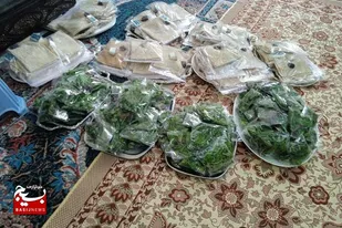 پذیرایی از زائران اربعین در موکب سرخه