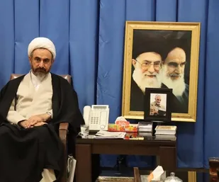 درخشش بین&zwnj;المللی هلال احمر ایران در دنیا افتخاری ارزشمند است