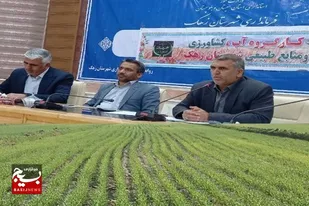 بیش از ۲۸۰۰ هکتار از گندمزارهای زهک تحت پوشش کشت قراردادی قرار گرفت