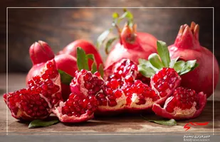 استان اردبیل پیشرو در صنعت باغی