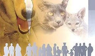 ثبت 366 مورد حیوان گزیدگی طی سال گذشته دربردسکن