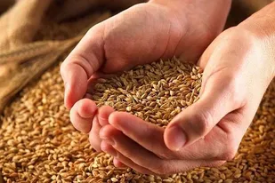 پرداخت ۶۴ میلیارد تومان زکات در استان تهران