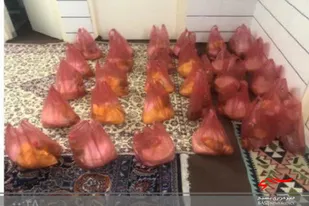30 بسته معیشتی به همت بسیجیان پایگاه حضرت رقیه (س) سرخه توزیع شد