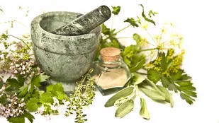 ساخت داروی گیاهی عصاره پنیرک و بادام تلخ برای درمان زخم&zwnj;های دیابتی