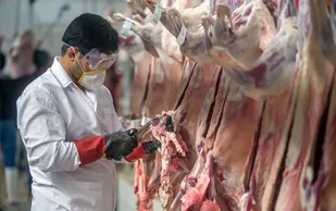 فعالیت ۹۶ تیم شرعی و بهداشتی دامپزشکی خوزستان در تاسوعا و عاشورای حسینی