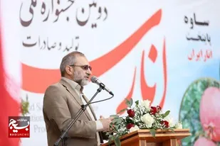ساوه؛ رتبه نخست تولید انار را در سطح ملی به خود اختصاص داده است