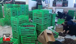 اشتغال بیش از ۳۰۰ بانوی آبادانی با راه اندازی کارگاه فرآوری خرما