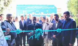 نقش واسطه گران، پیوند سرمایه گذار با تولید کننده است