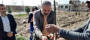 کاشت چندین نهال با نام و یاد شهدا در مدارس پیشوا