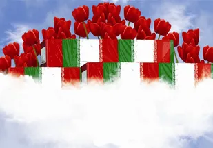 پدر شهید والامقام سید اشرف علی موسوی به فرزند شهیدش پیوست