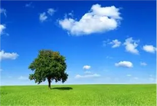ثبت ۱۲۵ روز هوای قابل قبول در کلانشهر اهواز
