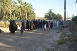برگزاری پیاده روی خانوادگی در ایرانشهر