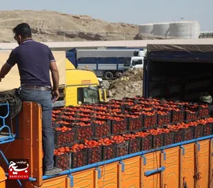 صادرات ۵۷۰ هزار تن محصولات کشاورزی از شلمچه