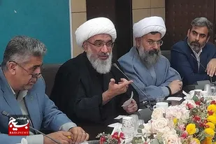 شهرستان دشتی در تاریخ ایران و در منطقه خلیج فارس نقش برجسته ای دارد