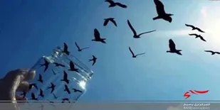 آزادی 50 محکوم مالی البرز با کمک خیرین در هفته قوه قضاییه