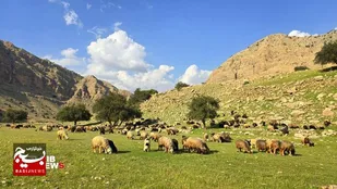 کوچ عشایر خوزستان به مناطق ییلاقی