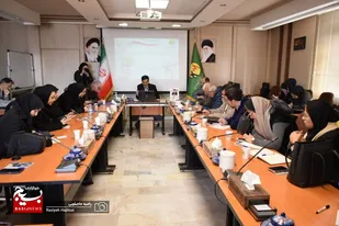 نشست خبری مدیرعامل شرکت توزیع نیروی برق استان همدان به مناسبت دهه فجر