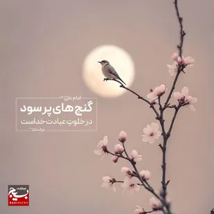 گنج پُرسود