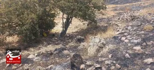 آتش&zwnj;سوزی در منطقه حفاظت&zwnj;شده آق&zwnj; داغ مهار شد