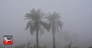 پیش بینی وقوع مه صبحگاهی و تداوم شرجی در خوزستان