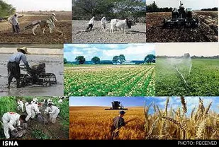 بسیج برای رفع مشکلات توزیع نهاده&zwnj;های دامی و کشاورزی به کمک جهاد کشاورزی می&zwnj;رود