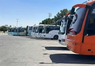 سفر بیش از ۸ هزار نفر به مشهد مقدس با ناوگان اتوبوسرانی خراسان جنوبی