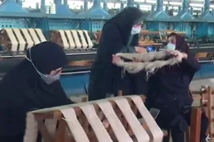 باز کردن گره از پای صنعت ابریشم&zwnj;کشی