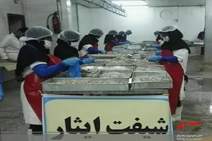 شیفت ایثار، رزمایش خدمات رسانی بسیج کارگری در چابهار برگزار شد