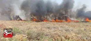 مهار حریق ۲۵ هکتاری در نهالستان ۷۵۰ هکتاری