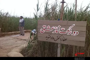 بازدید کاروان راهیان نور دانشجویان بسیجی اسدآباد از مناطق عملیاتی