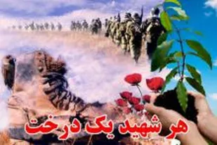 اجرای طرح هر شهيد يك نهال در کبودراهنگ