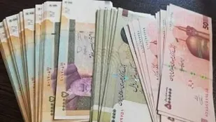 حذف ارز دو نرخی یکی از راه های نجات اقتصاد ایران است
