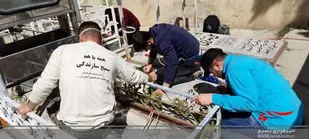 غبار روبی گلزار شهدا توسط بسیجیان دانشگاه آزاد بروجرد