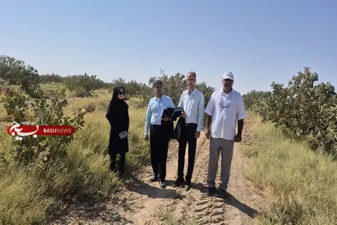 بازدید مدیر باغبانی استان سمنان از باغات پسته شهرستان سرخه