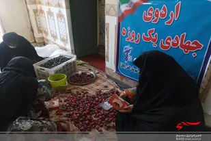 برگزاری اردوی جهادی جمع آوری خرما در گلشن