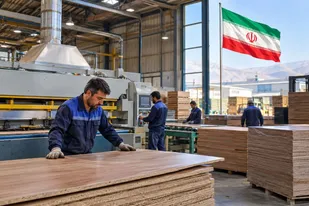 کارآفرین بروجردی در عرصه صنایع چوبی، چرخ تولید و اشتغال را به حرکت درآورد