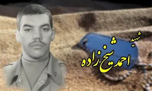 خواهرم! با قلمت از فرهنگ&zwnj;مان دفاع کن