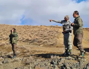 آغاز سرشماری زمستانه حیات وحش استان مرکزی