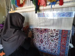 گلایه بانوی کارآفرین از بی مهری مسئولین