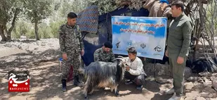 اردو جهادی ۳روزه حوزه بسیج عشایری در مناطق صعب العبور لالی