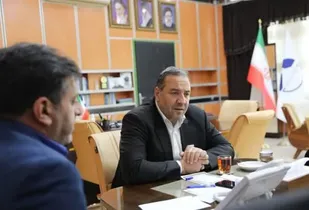 کاشت ۲۴ میلیون نهال طی ۴ سال در استان ایلام