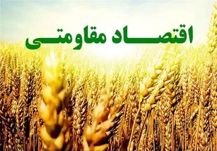 تعرفه پوشاک برای واردات از ترکیه به شدت کاهش یافته است