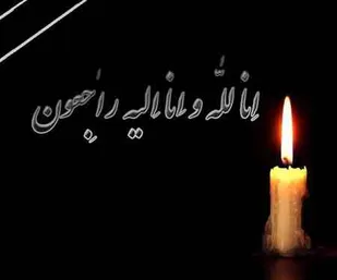پدر شهید سیامک حیدری به فرزند شهیدش پیوست