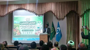 ۴ مرکز پرتودهی بزرگ هسته&zwnj;ای در کشور فعالیت دارند