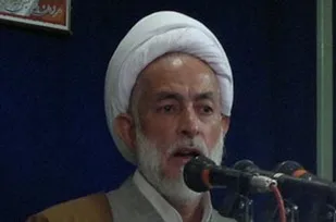 باید جوانان وارد عرصه فرهنگ رضوی شوند