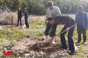 ارتقا و نهادینه کردن فرهنگ حفاظت از درختان و منابع طبیعی، از اهداف هفته درختکاری است