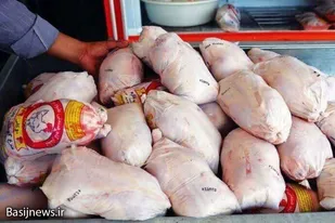 توزیع گسترده گوشت مرغ منجمد در بازار استان سیستان و بلوچستان
