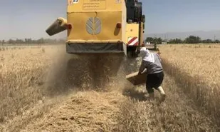 رصد و پایش نهاده&zwnj;های اساسی بخش کشاورزی توسط بسیج