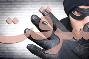 دستگیری ۷ سارق و کشف ۱۰ فقره سرقت در ملایر