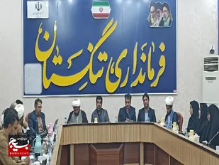 دیدار فعالان سیاسی و اجتماعی با فرماندار شهرستان تنگستان